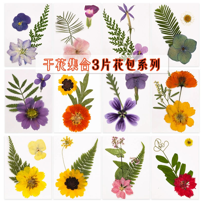 Новый Сушеный Цветок тисненая Закладка клей капающая фоторамка DIY материал ручной работы лицо макияж цветок настоящий цветок образец растения