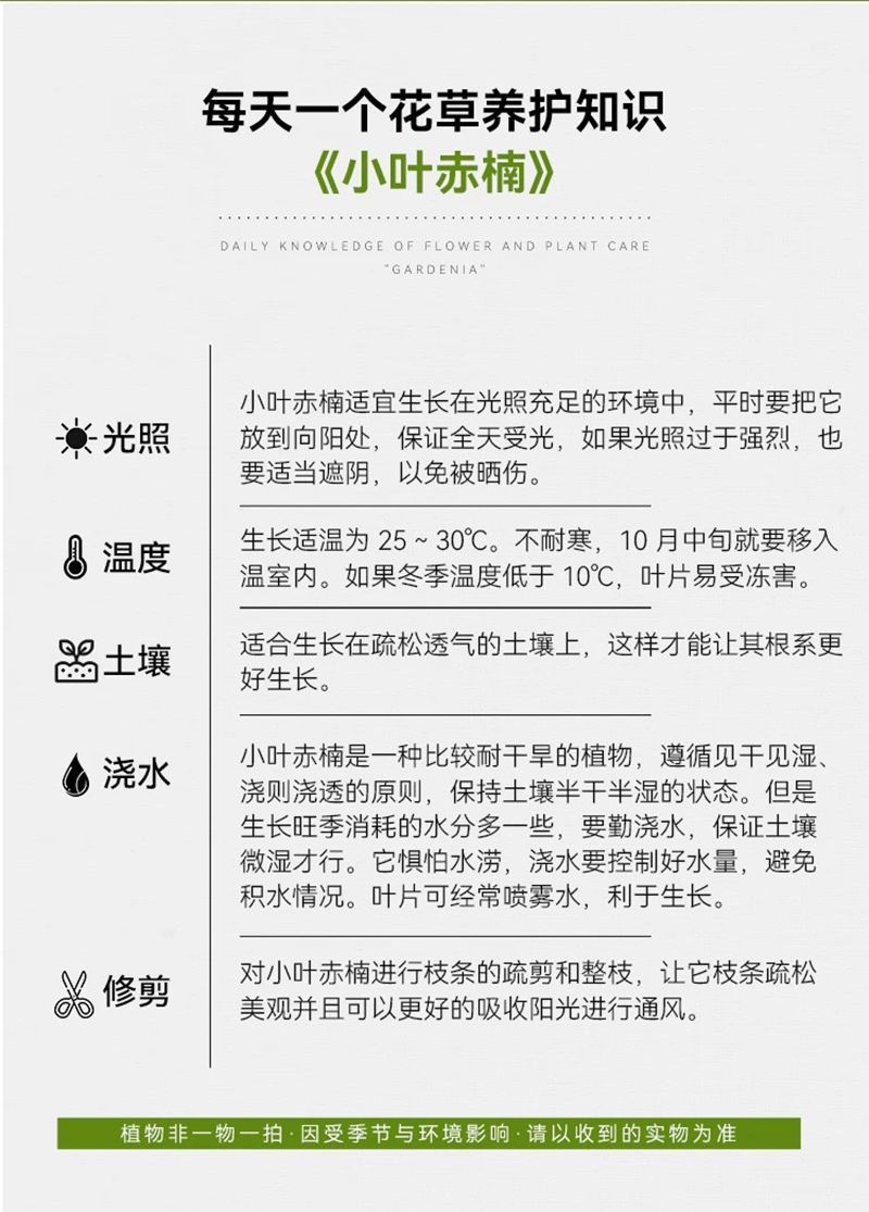 f23a32c1-d6d7-4ac5-bcec-fe78d7e7a5a6.jpe