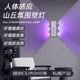 小夜灯;LED球泡灯;风扇灯