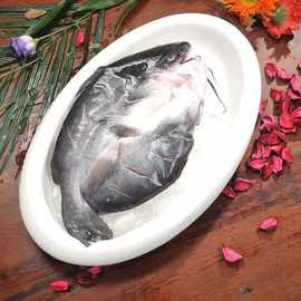 洪湖渔家调理开背鮰鱼源头新鲜冷冻烧烤鱼冻货海鲜批发半成品预制