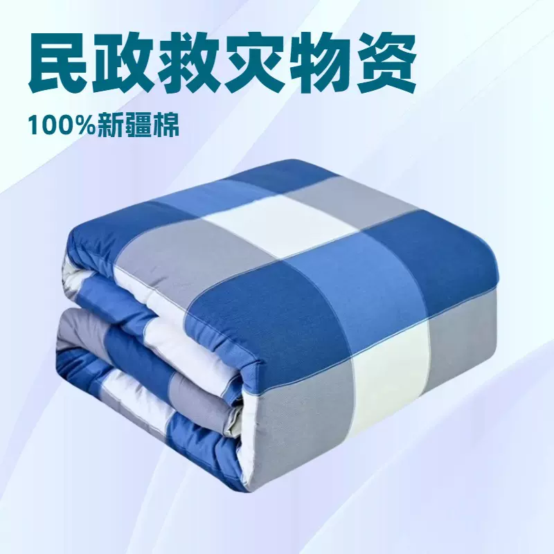 定制新疆棉花被带被套冬被可拆洗被褥垫被春秋被批发棉胎加厚