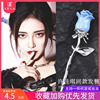 No man's Rose~Xu Jia Same item Hairpin blue rose Chinese style Hairpin Flaxen Hair Hairdressing Headwear trend