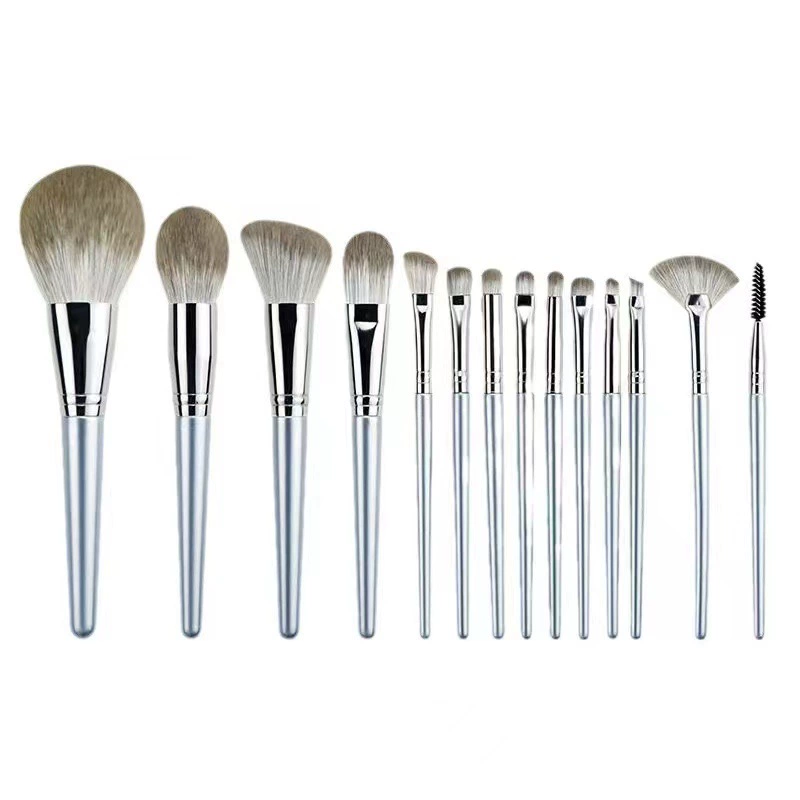 Makeup Brush Set, 14-Piece Foundation & Primer Brushes, Roll Pouch, Silver Handles