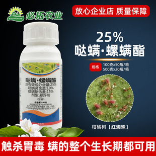 25%�}�\�`���\�����\֬���\���٘�t֩��̽��rș���x���r�Y��