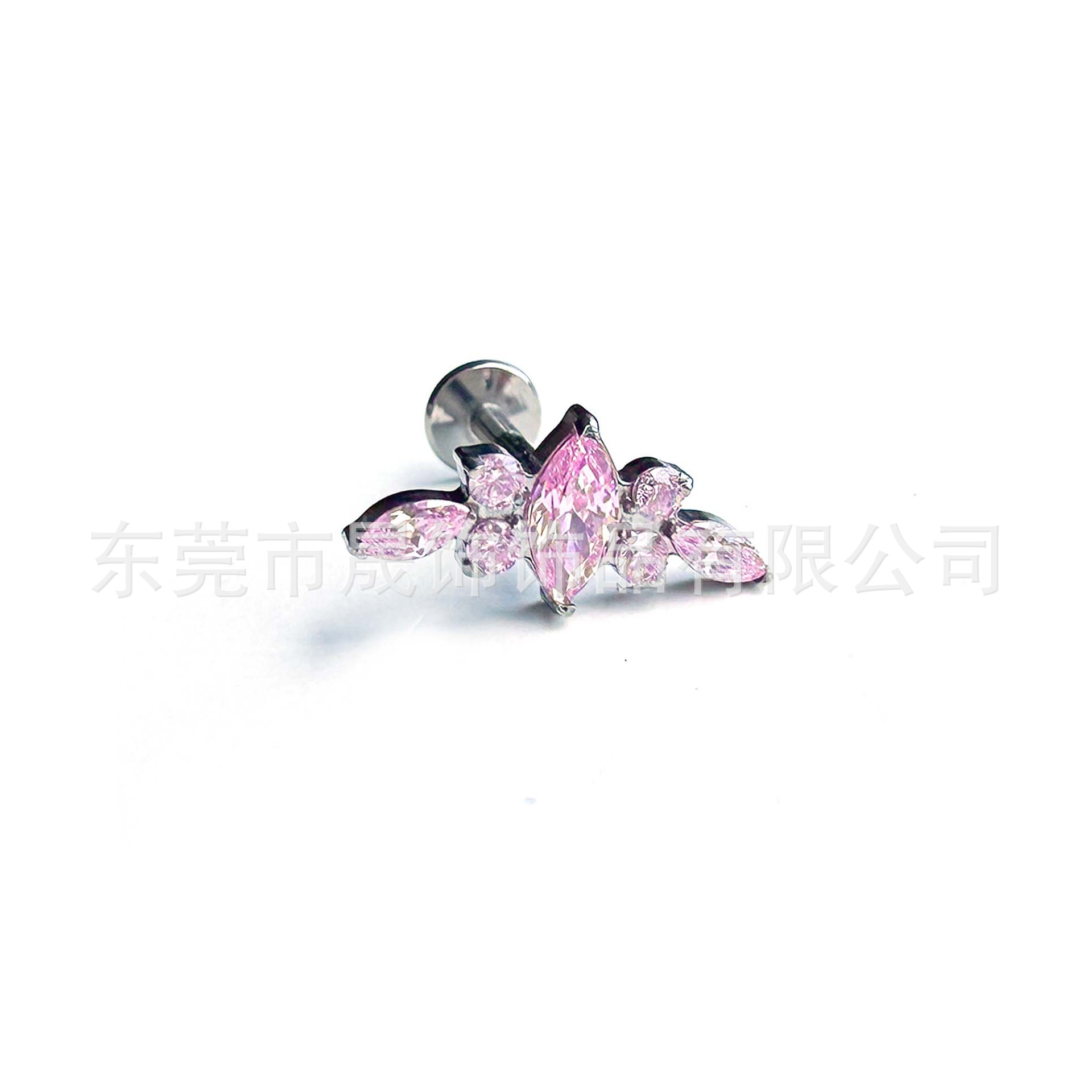 F136 Titanium 马眼 Cubic Zirconia Ear Stud G23 Implant Grade Titanium Internal Thread Cubic Zirconia Labret Stud 人体 Piercing Jewelry Accessories
