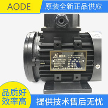 标准原装AODE循环高温电动热油泵WM-05 AD-RGP-20 AD-RGP-1