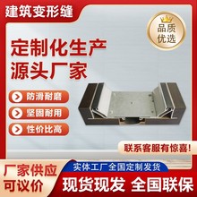 ��s�p���B�î���䓸�����׃�οp�Ű�����SFFS�X�Ͻ���s�p�w��