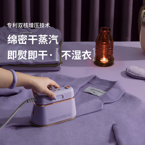 Han Yu holds a household small portable steam iron, a hand-held garment steamer for flat ironing clothes.