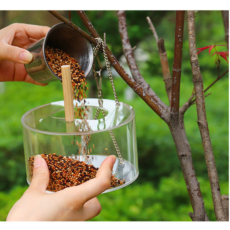 20288521754_557864364