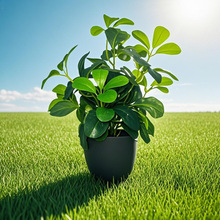 �羳���~�ݾGֲ���\�ݼٻ����Ԕ[���҃������̨�bҾ��辰