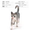 T15052 fine line black cat 21g