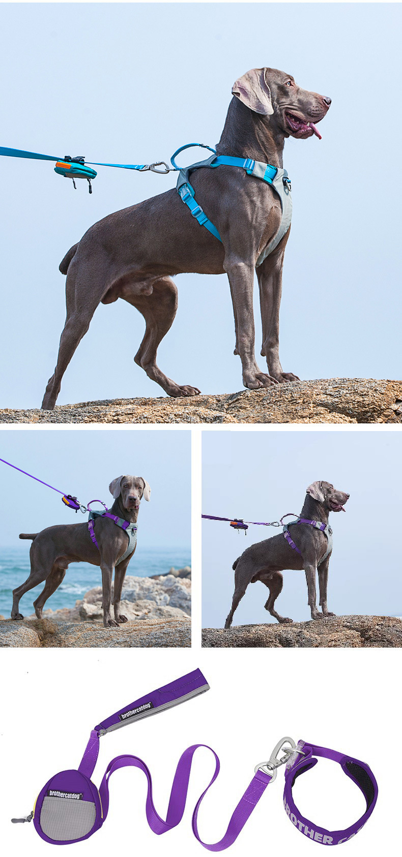 O1CN01P9s4ma1UpjZU2qbhf_!!1001232567-0-cib.jpg?__r__=1692838713644