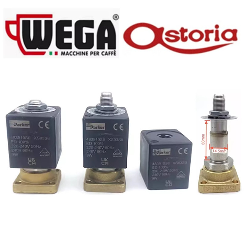 Wega Pegaso Picasso Coffee Machine Brewing Head Solenoid Valve Water Inlet Solenoid Valve Astoria Solenoid Valve