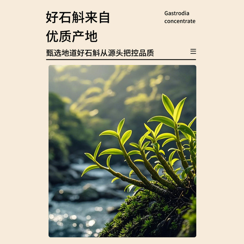 新鮮な石斛濃縮液、箱詰めの新鮮な石斛ジュース、工場直送、卸売、発送代行、個別袋詰めの石斛原液|undefined