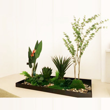 ͥԺ�̨���@���⻨���Fˇ���P�������PСԭ���������ػ���