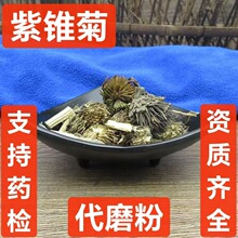 中药材 紫锥花 紫锥菊 紫松果菊 松果菊 紫锥菊 支持药检 都磨粉