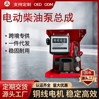 定制12v24v220v550w大功率电动柴油抽油泵油枪油泵计量柴油泵批发