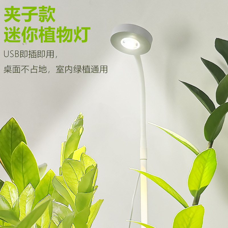 创意LED植物生长灯全光谱多肉花卉植物补光灯USB小夜灯太阳光斑灯