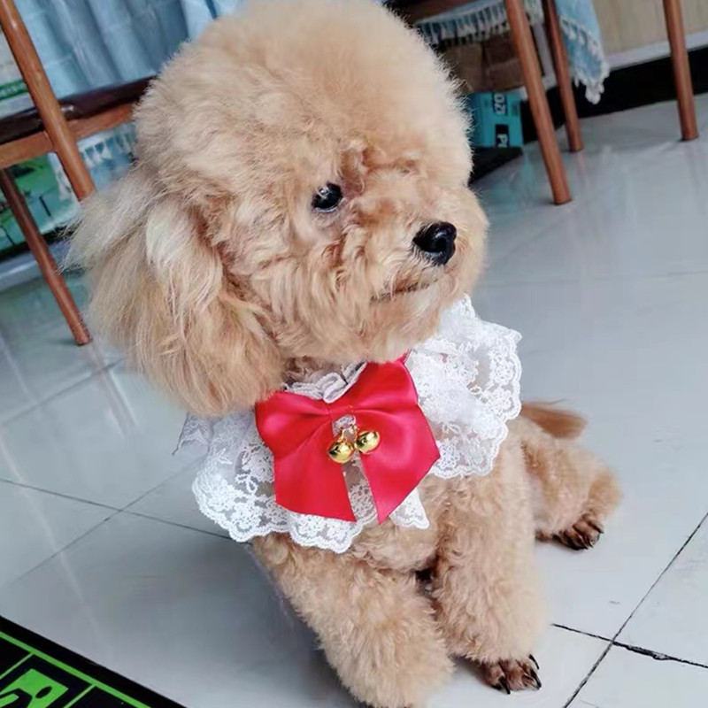 微信图片_20220227160419_副本