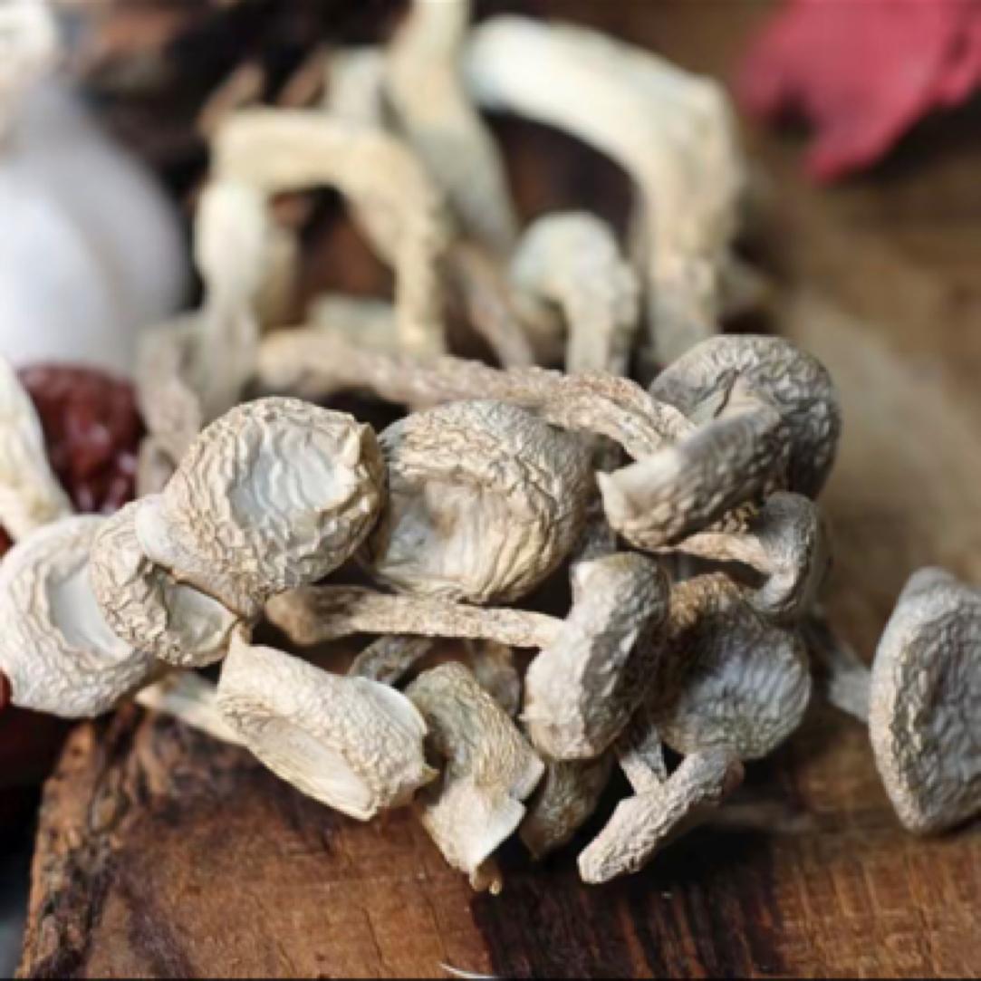Dried Lyophyllum decastes Mushroom Lu Rong Gu 1000g Sun-Dried Culinary Fungi for Soups and Stir-Fries quality and texture
