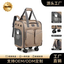 ���羳��Ʒ�����U�����͸�ⱳ��؈�������y؈���p�猙����Ʒ