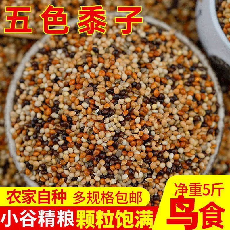 Смешанный корм для птиц Корм для попугаев Кожа тигра Xuanfeng Пион Пятицветное просо Пищевое просо с оболочкой