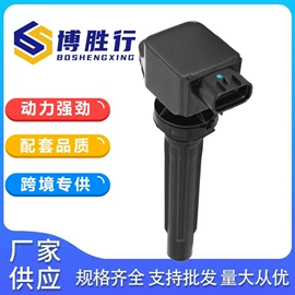 油泵、油嘴;点火线圈;其他发动系统