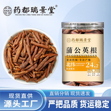 蒲公英根 长白山产地蒲公英根泡水代用茶 批发代发150g/罐