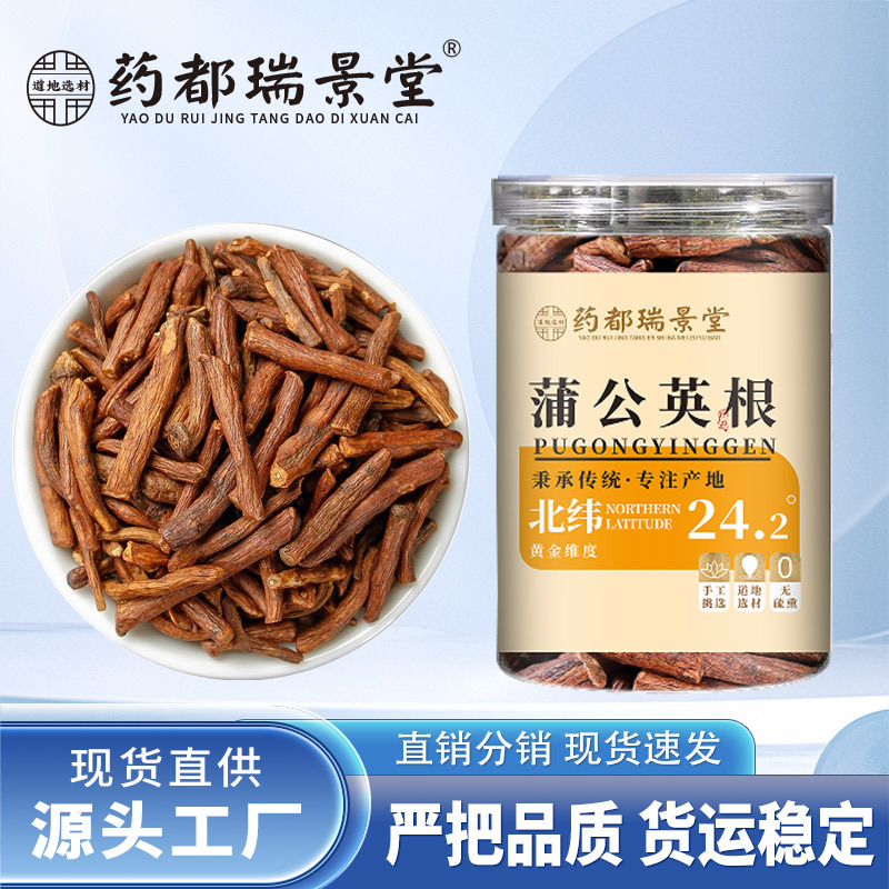 蒲公英根 长白山产地蒲公英根泡水代用茶 批发代发150g/罐