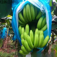 Утолщенная банановая защитная сумка для защиты от холода, дышащая защитная сумка Простая сельскохозяйственная сетчатая сумка джекфрут сумка антифризный фруктовый мешок