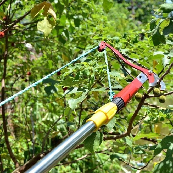 高枝剪伸缩高空修枝剪树枝剪采果剪树枝剪摘果龙眼荔枝摘剪高空剪