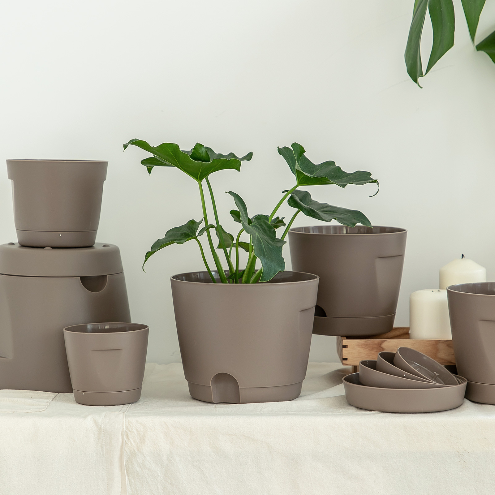 Maceta plástica auto-riego, color crema, estilo Wabi-Sabi, para suculentas, interior, transfronterizo