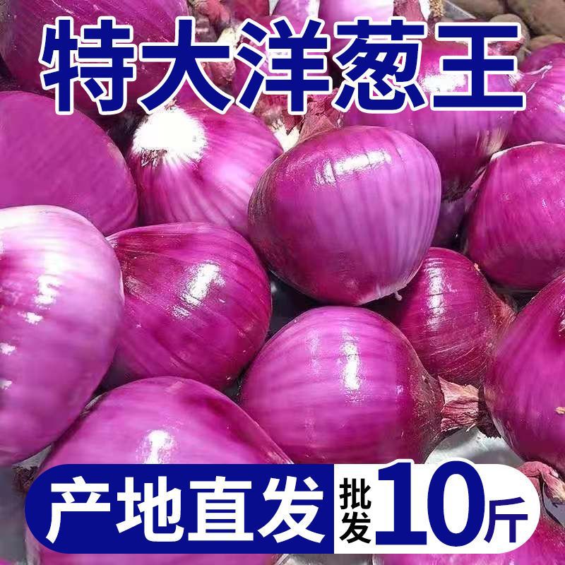 Onion wholesale fresh Purple Onion fruit Vegetables Farm One piece wholesale On behalf of