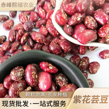 ϻܿ ԭϻܿ 1sZļ