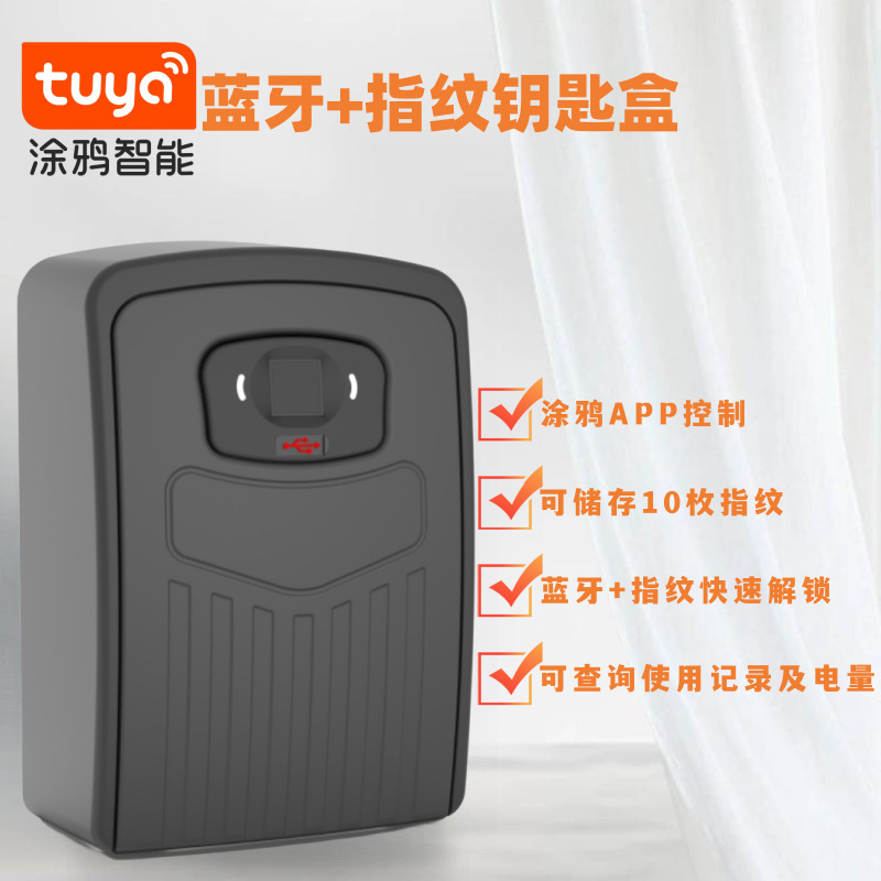 跨境指纹钥匙盒远程解锁装修壁挂式民宿工地猫眼门口智能锁户外箱