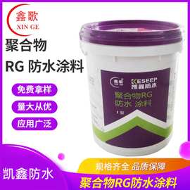 防水涂料RG聚合物水泥彩色卫生间厨房防水补漏材料厂家供应批发