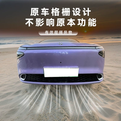 anti-mosquito and lint modification – Automobile anti-insect net