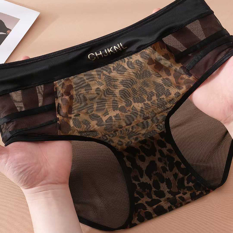 Leopard Print Mesh High Waist Underwear for Women Silky Sexy Lace Transparent Hot Briefs Bow Girls Underwear