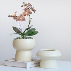 简约陶瓷花盆家用北欧ins奶油风轻奢蝴蝶兰梦香兰多肉绿植盆景盆