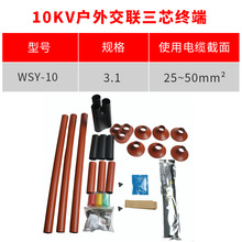 ��s��|�K��10KV��о�����s�K���^WSY-10/3.1(�m��25-50ƽ��)