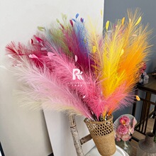 �����JȔ���滨�����bՇ����üٻ���ȸ�ݻ�c�Y���b��̈����