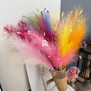 �����JȔ���滨�����bՇ����üٻ���ȸ�ݻ�c�Y���b��̈����