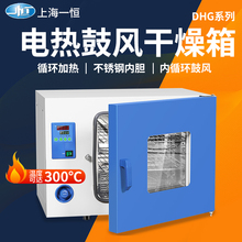上海电热鼓风干燥箱实验室恒温烤箱DHG-9013A/9023A工业烘箱