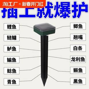 Ultrasonic Fish Attractor Black Technology Sonar Fish Finder Solar Fish Attractant Fish Catching Q Fish Group China Others