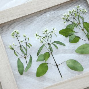 �hѩ Ѻ���ɻ�diy�R���������z�Ʒ�����޹Ϟ�T��ĉ������~