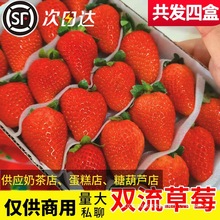 ļݮrˮͬͺ決̲pƷݮlS