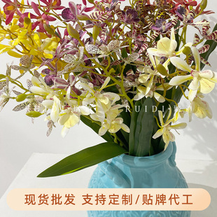 3D���滨֩���mʯ���m���m���Ļ�c�bٻ����滨��c�û�