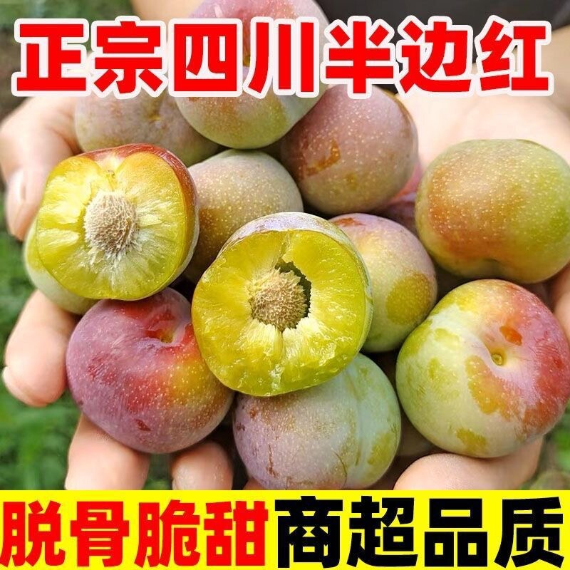Sichuan Half-Red Pitted Plums Fresh Fruit 2.5kg Seasonal Freshly Picked Crispy Sweet Small Red Plums Whole Box in Stock