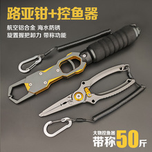 ����Q���~��50��Q�غ��ռ��X�Ͻ�Ӳ��P䓼����_�h�A�U·���Q