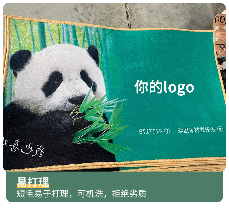 Factory Direct Sales Printed Logo Advertising Mat with Printed Text, Water-Absorbent Red Carpet, Fancy 3D Color Printing, Embroidered Entrance Mat